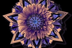 Calendula-offinalis-brown-taupe-blue-mix1small