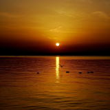 Plattenssee3