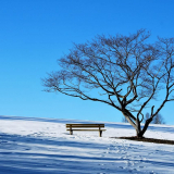 Winter-3
