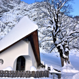 Winter-4