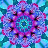 DSC_6033-kaleidoskop-2